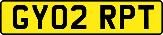GY02RPT