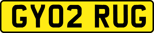 GY02RUG