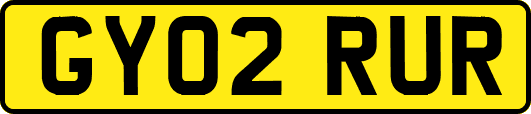GY02RUR