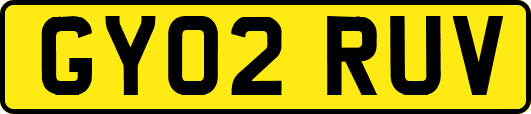 GY02RUV