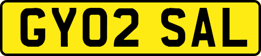 GY02SAL
