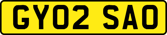 GY02SAO