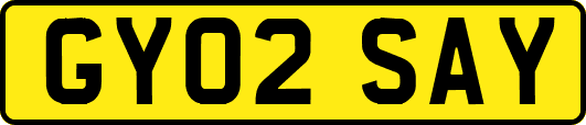 GY02SAY