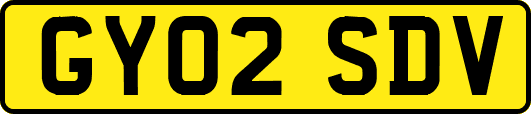 GY02SDV