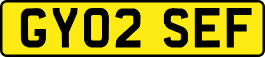 GY02SEF