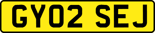 GY02SEJ