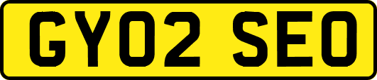 GY02SEO