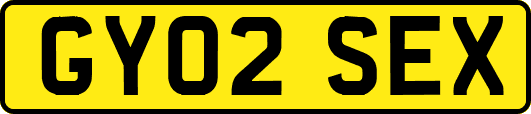 GY02SEX
