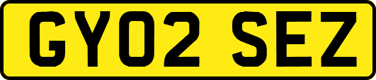 GY02SEZ