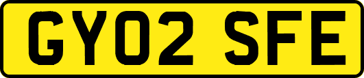 GY02SFE
