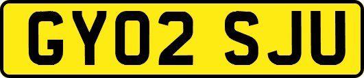 GY02SJU