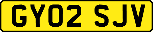 GY02SJV