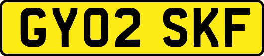 GY02SKF