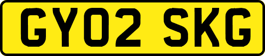 GY02SKG