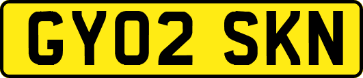 GY02SKN