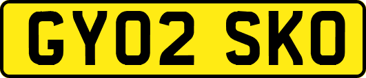 GY02SKO