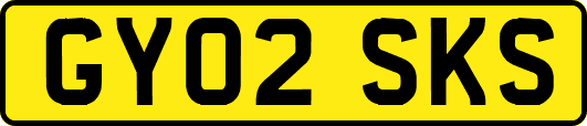 GY02SKS
