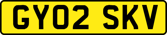 GY02SKV
