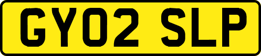 GY02SLP