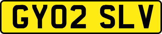GY02SLV