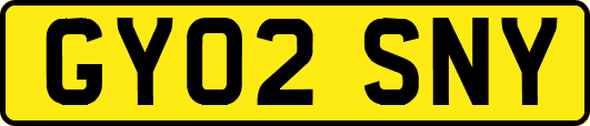 GY02SNY