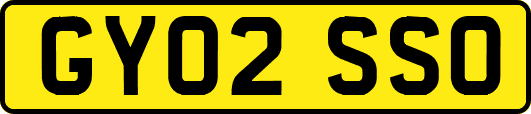 GY02SSO