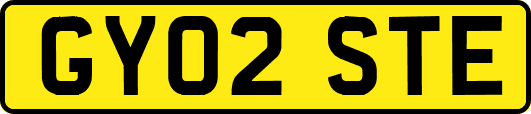 GY02STE