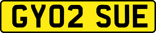 GY02SUE