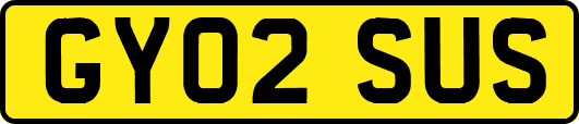 GY02SUS