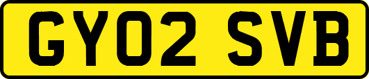 GY02SVB
