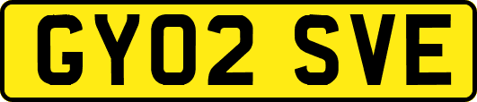 GY02SVE