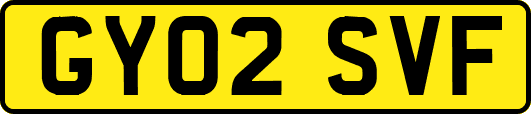 GY02SVF