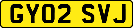 GY02SVJ