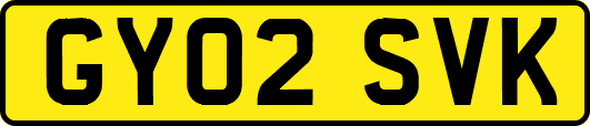GY02SVK