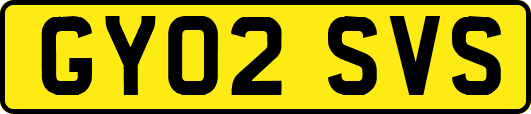 GY02SVS