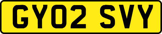 GY02SVY