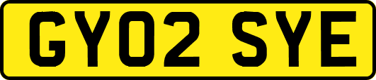 GY02SYE
