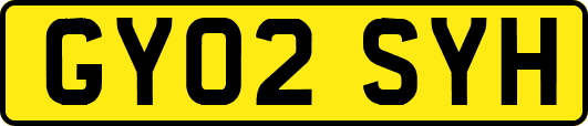 GY02SYH