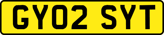GY02SYT