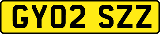 GY02SZZ