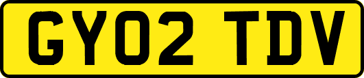 GY02TDV