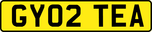 GY02TEA