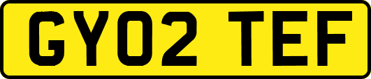 GY02TEF
