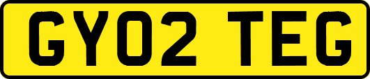 GY02TEG