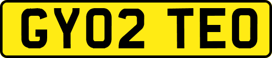 GY02TEO