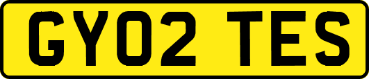 GY02TES