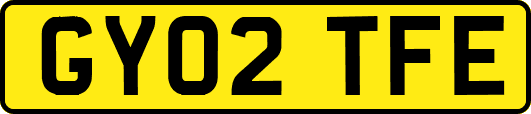 GY02TFE