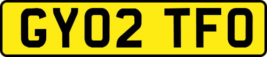 GY02TFO