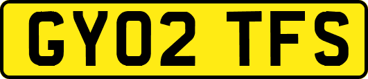 GY02TFS