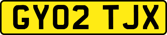 GY02TJX